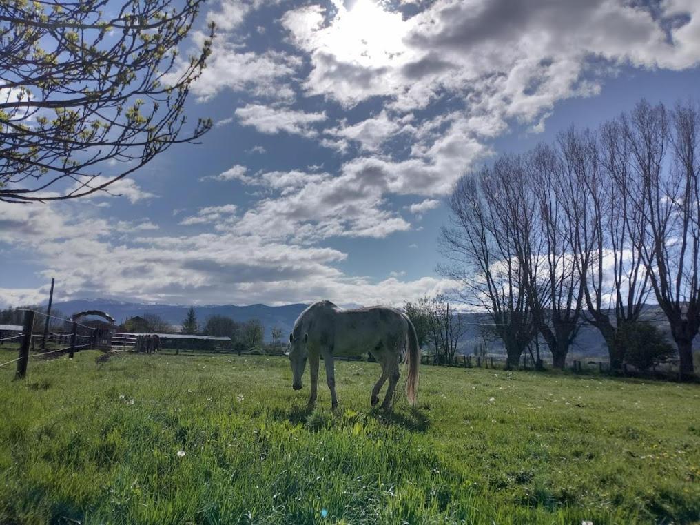 Ca L'Andreu Villa Ventola Eksteriør bilde