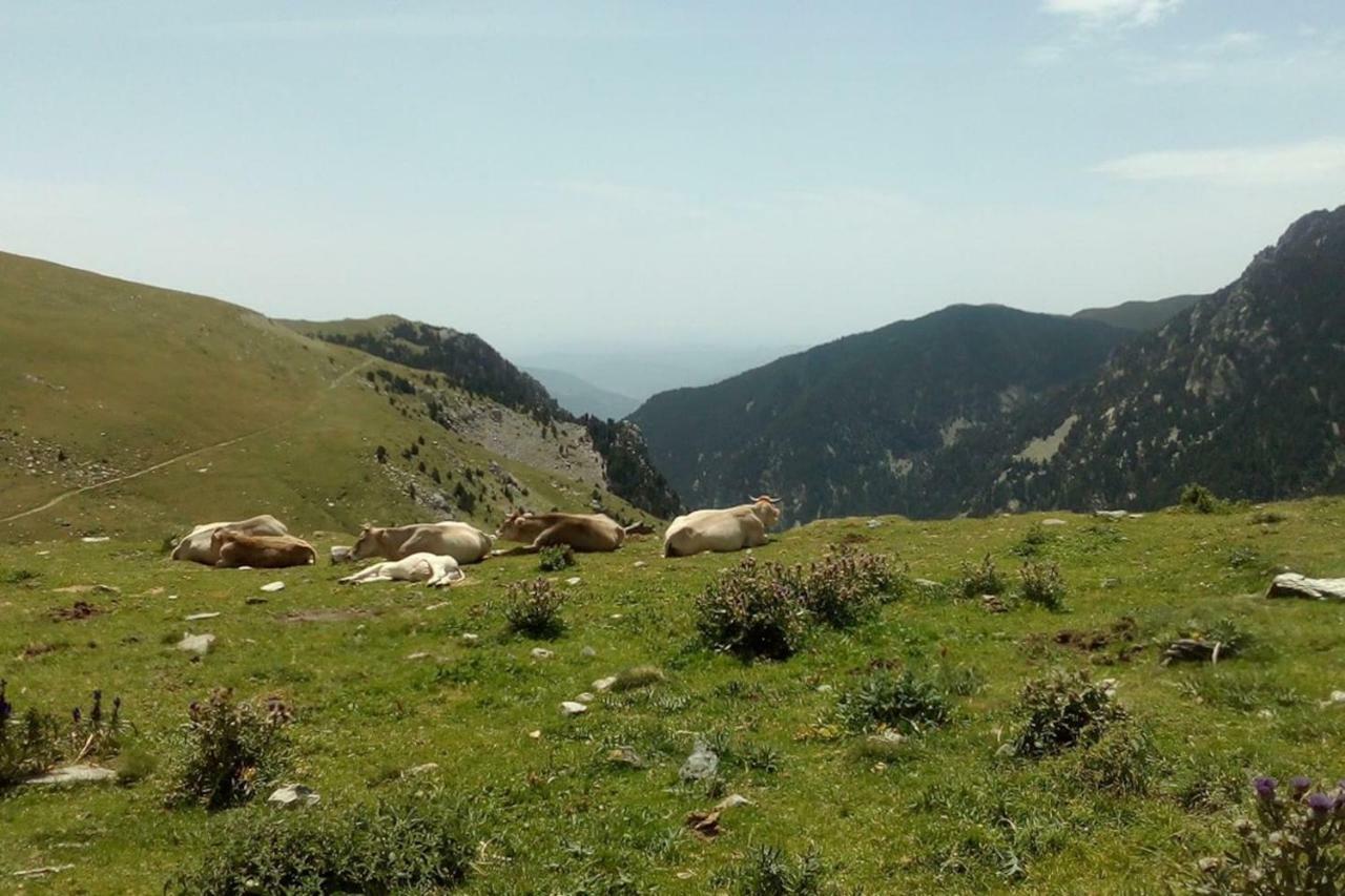 Ca L'Andreu Villa Ventola Eksteriør bilde