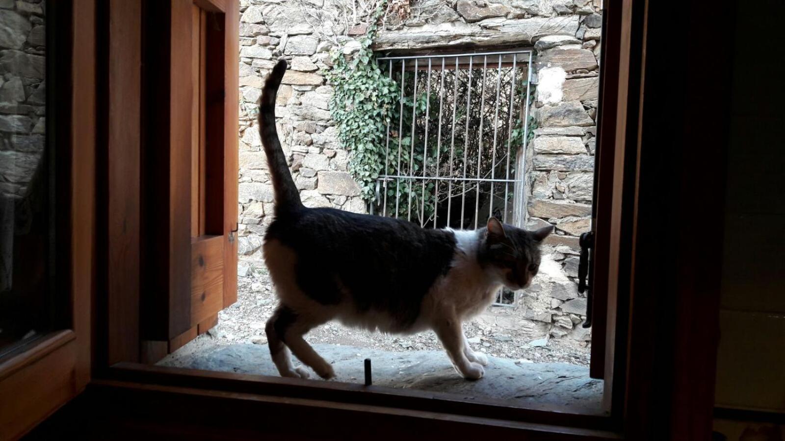 Ca L'Andreu Villa Ventola Eksteriør bilde